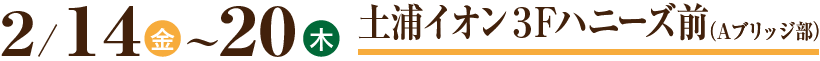 土浦イオン3Fコテージ前